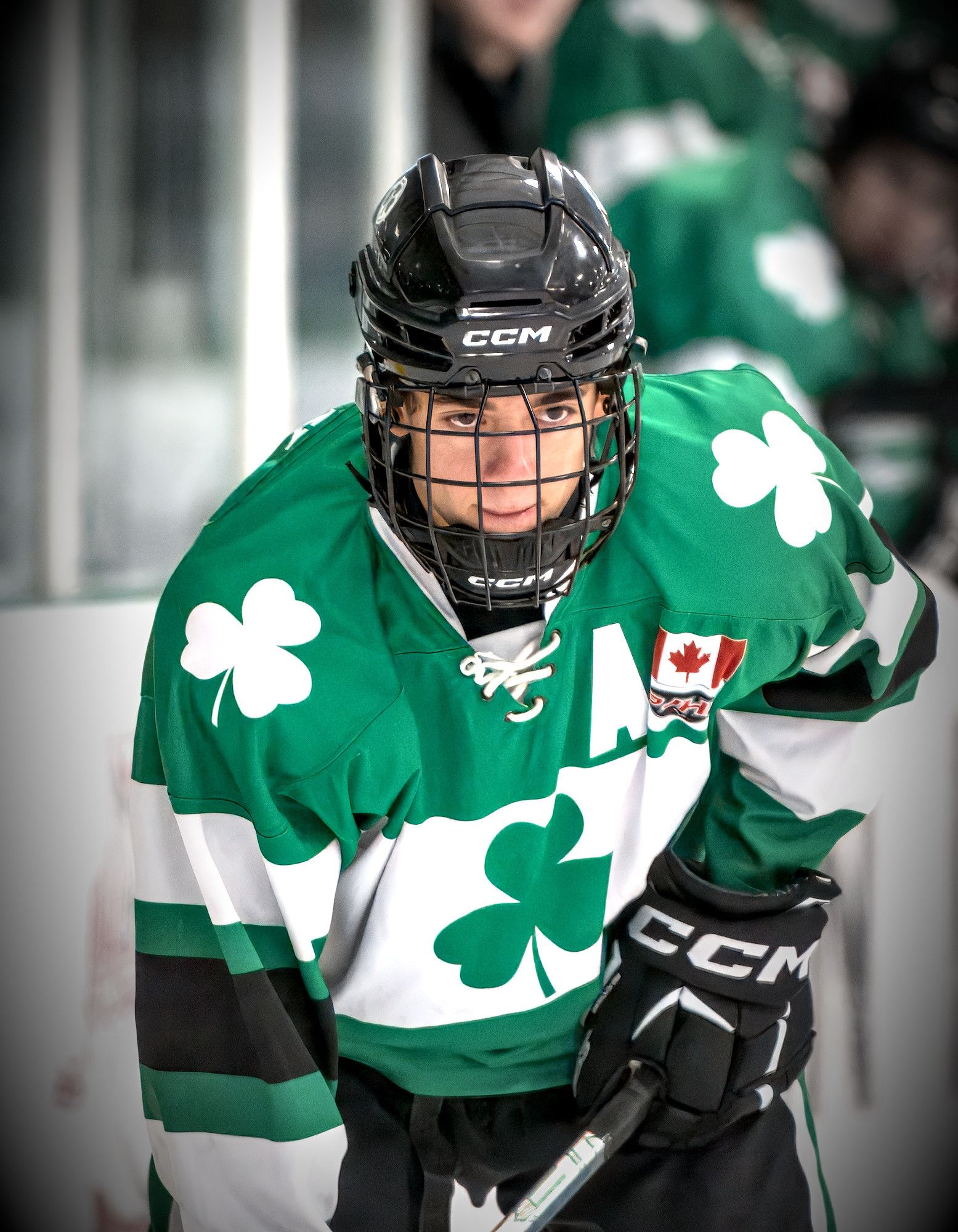 An alternate captain in a green shamrock jersey leans forward over his stick with his eyes locked on the play.