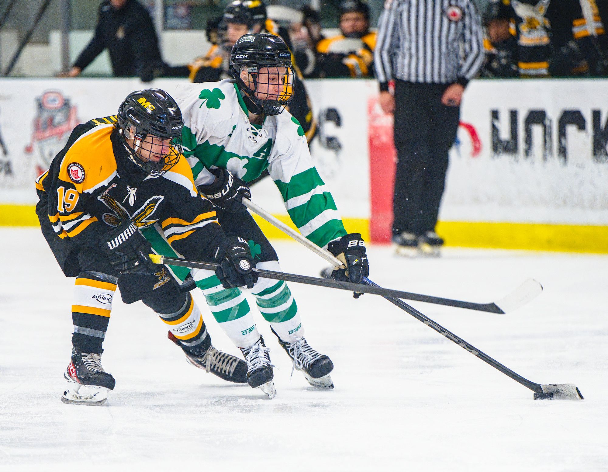 Two players in black-and-gold and green-and-white skate stride for stride with both sticks stretched out for the same puck.